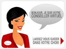 Conseiller virtuel en défiscalisation immobilière