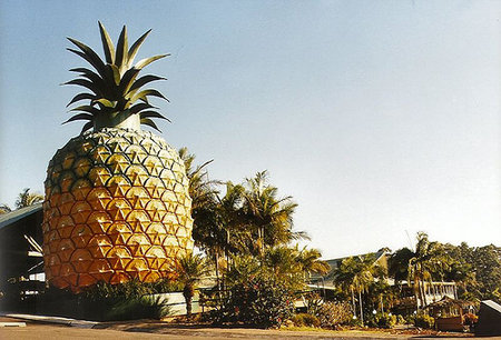 Big Pineappele, Australie